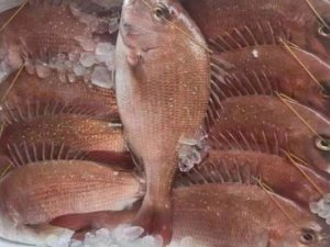 冰鮮深海沙立