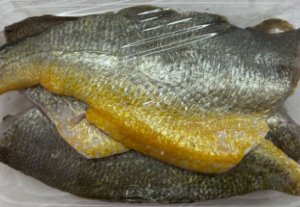 冰鮮黃花魚柳