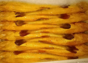 冰鮮深海野馴黃花
