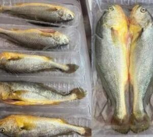 冰鮮開肚黃花（三去）
